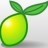 LimeSurvey
